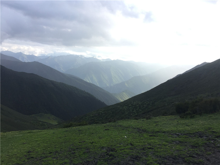 牧場遠眺。.jpg