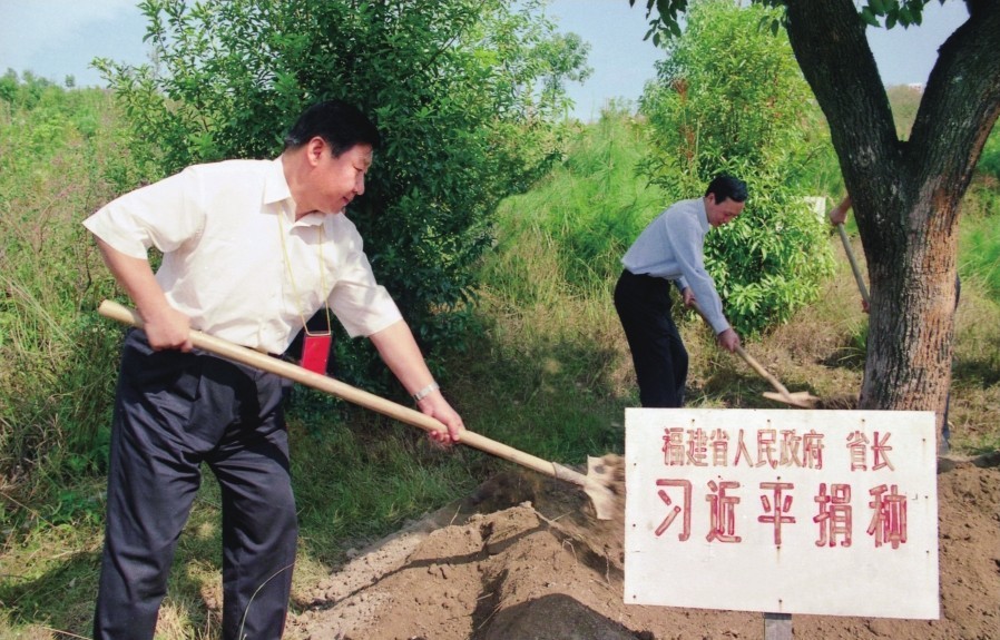 2001年10月，習近平在龍巖市長汀縣調研水土流失治理工作，在河田世紀生態(tài)園為樹培土。圖源：《習近平在福建（下）》