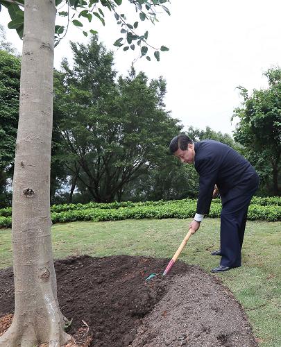 2012年12月7日至11日，習(xí)近平在廣東省考察工作。這是8日上午，習(xí)近平在深圳蓮花山公園種下一棵高山榕樹。新華社記者 蘭紅光 攝