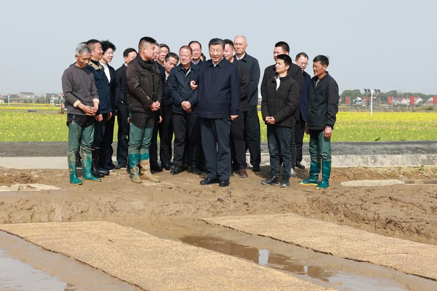 2024年3月18日至21日，中共中央總書記、國家主席、中央軍委主席習近平在湖南考察。這是19日下午，習近平在常德市鼎城區(qū)謝家鋪鎮(zhèn)港中坪村走進田間，察看秧苗培育和春耕備耕進展。新華社記者 王曄 攝